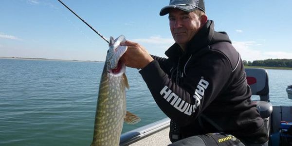 La pêche au drop shot et au drop vif, un aimant pour tous les carnassiers