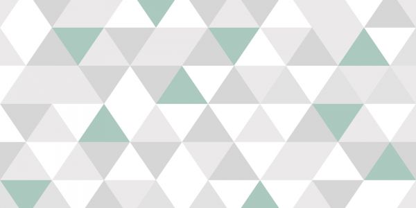 La fiscalité, levier politique et social majeur