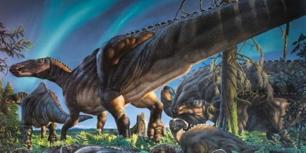La lente incubation des oeufs des dinosaures expliquerait leur extinction