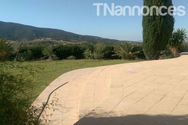 Ferme Garci - Mornag               REF. T594 - Ventes immobilières - Nabeul - Hammamet - TNannonces