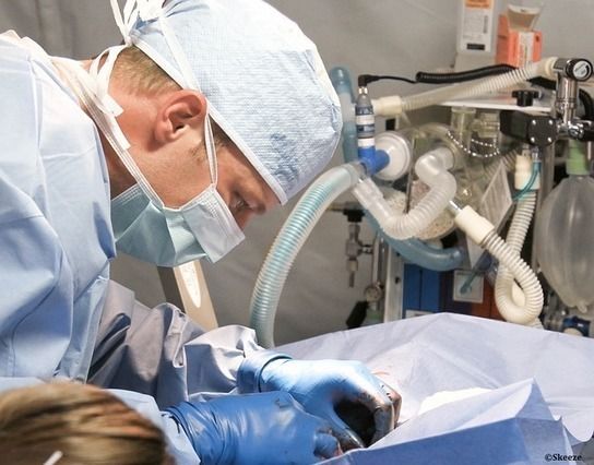 Médecine vétérinaire et humaine : la kétamine injectable classée comme stupéfiant en France | vetitude