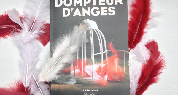 Dompteur d'anges