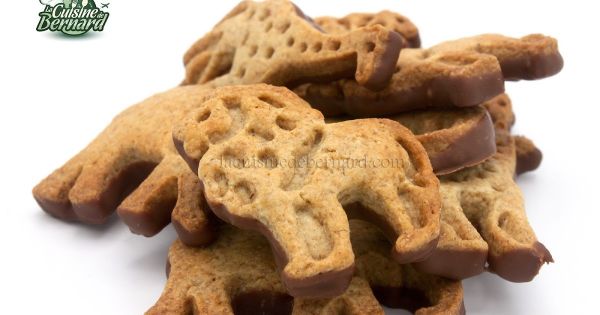 Z'Animo (ou Dinosaurus) maison
