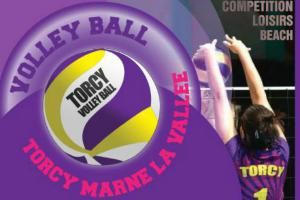 Fédération Française de Volley-Ball |