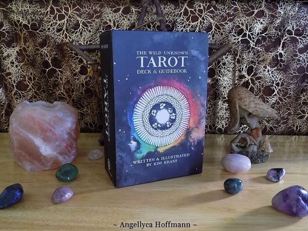 The Wild Unknown Tarot - Blog Ésotérique Samhain Sabbath