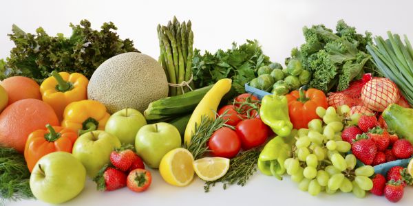 AGRI-N, l'agriculture a une plateforme et un bot - Le Magazine des Jeunes Entrepreneurs Africains