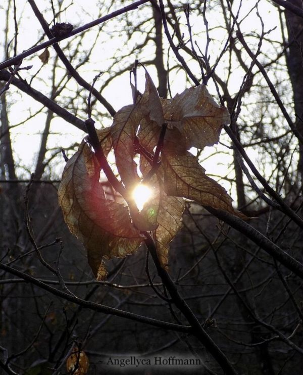 Un passeur d'âmes : Qu'est-ce que c'est ? - Blog Ésotérique Samhain Sabbath