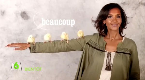Nouveautés l'amour est dans le pré 2017 et spoilers Nathalie, Gégé, Christophe