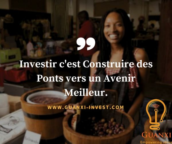 Guanxi Investment - Le Magazine des Jeunes Entrepreneurs Africains
