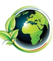 ACE environnement - DES SOLUTIONS ÉCOLOGIQUES & ÉCONOMIQUES POUR LA MAISON