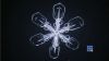 WebBuzz du 05/10/2017: Formation de flocons de neige filmés en gros plan-Snowflakes formation recorded in close up