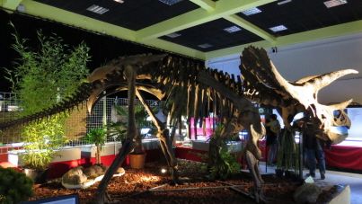 Dijon : les dinosaures envahissent la Grande orangerie