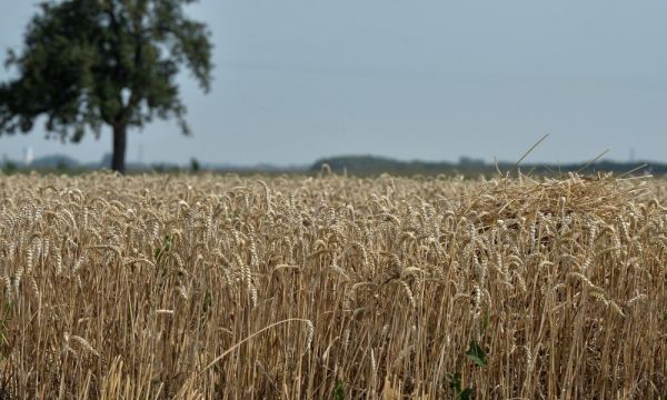 La Chine continue de s'offrir des terres agricoles en France