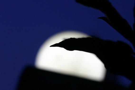 La pleine lune perturbe bien le sommeil