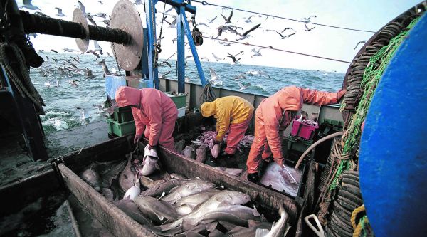 Finalisation imminente de l'accord de pêche Maroc-UE