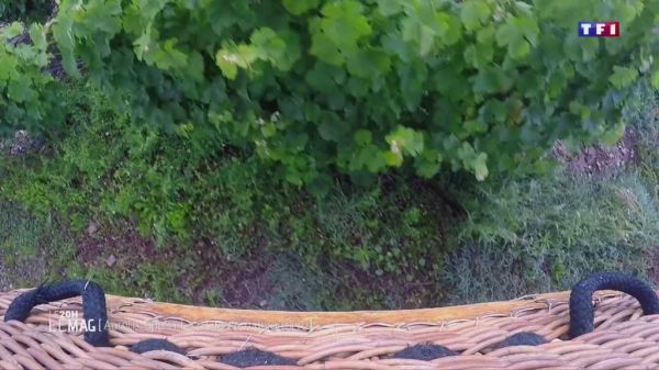 Le 20H Le Mag [...] du 9 octobre 2018 : Aurélie, apprentie pilote de montgolfière