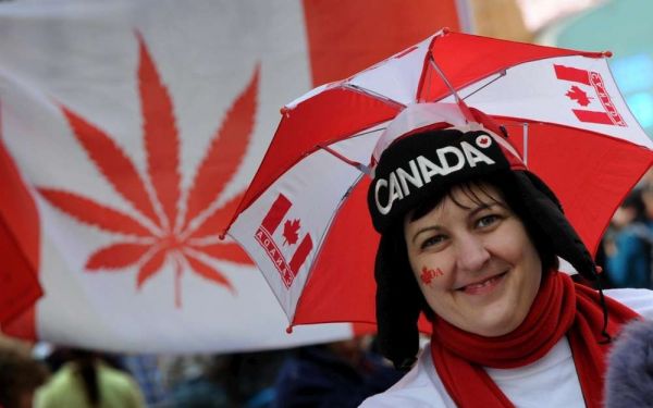 Cannabis : comment le Canada se prépare-t-il à légaliser son usage récréatif ?
