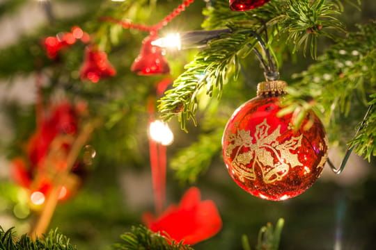 Sapin de Noël : bien le choisir, nos conseils déco