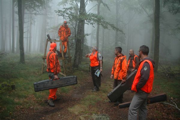 La France insoumise préfère s'occuper des gilets orange plus que des gilets jaunes...