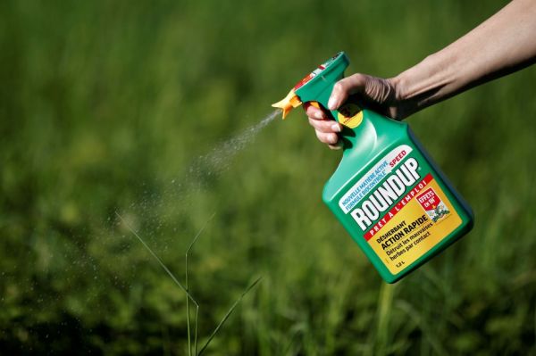 Ottawa estime que les pesticides contenant du glyphosate sont «sans danger»