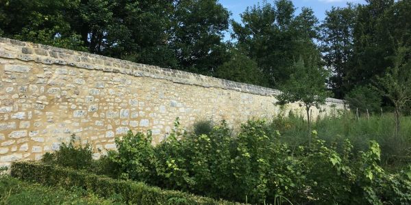 Sept jardins potagers exceptionnels à visiter dès le printemps