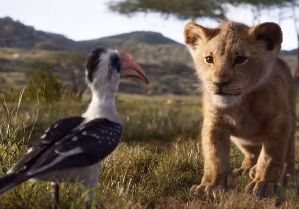 La nouvelle bande-annonce du « Roi Lion » : une pépite visuelle fidèle au dessin animé de 1994