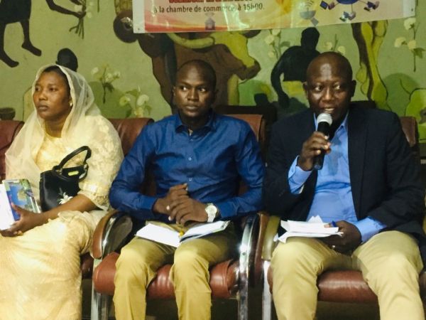E-commerce au Tchad : comprendre son importance dans l’économie et dans l’entrepreneuriat