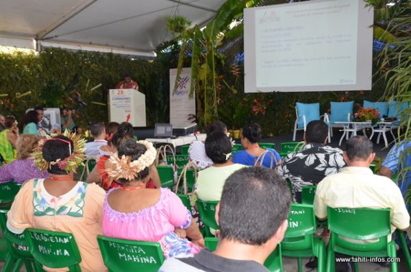 Les élus de Tahiti et Moorea en séminaire pendant trois jours