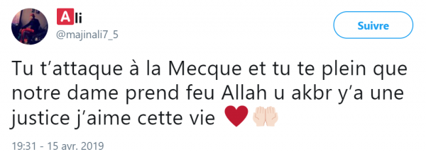 Aljazeera : les anti-chrétiens se réjouissent de la destruction de Notre Dame de Paris