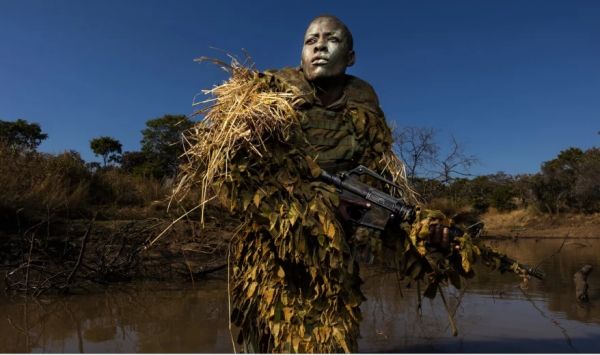 Les primés d'un grand concours de photos de presse de l'année 2019