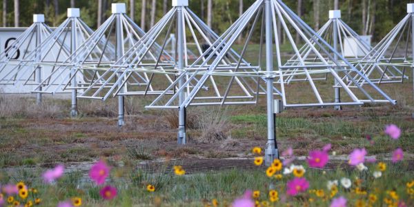 NenuFAR, un radiotélescope dernière génération