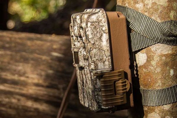 Caméras de chasse : sont-elles devenues indispensables ?