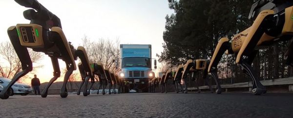 Les robots-chiens de Boston Dynamics sont capables de tirer un camion