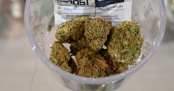 Plus de 120 patients soignés au cannabis depuis janvier