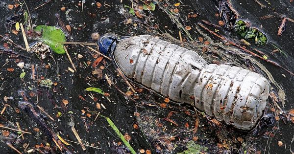 Transportés par le vent, les microplastiques se trouvent même dans les régions les plus reculées