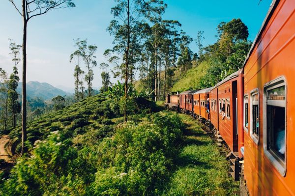 Sri Lanka : les tour-opérateurs recommandent d'annuler les voyages