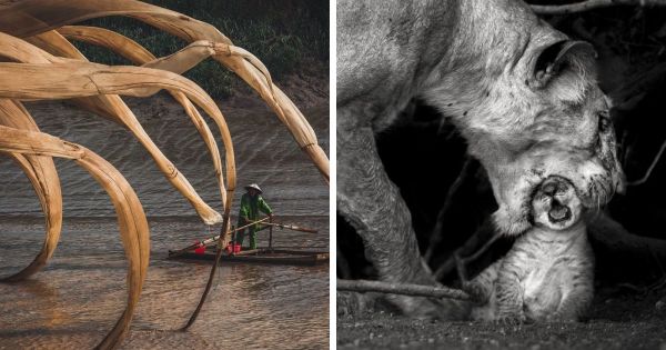 22 images à couper le souffle par les finalistes du concours de photos de voyage 2019 de National Geographic