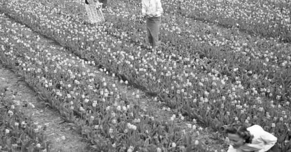 Ça s'est passé un 13 mai... dans les années 50