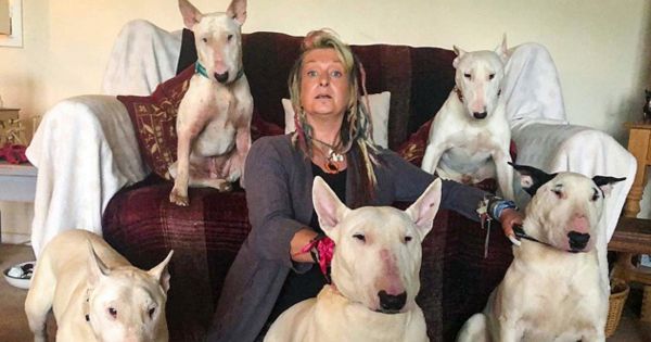 Un homme a obligé sa femme à choisir entre lui et ses chiens et elle est restée avec les chiens