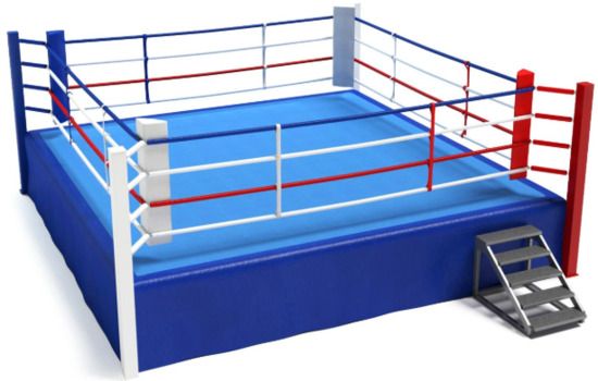 Merkel et Macron sur le ring