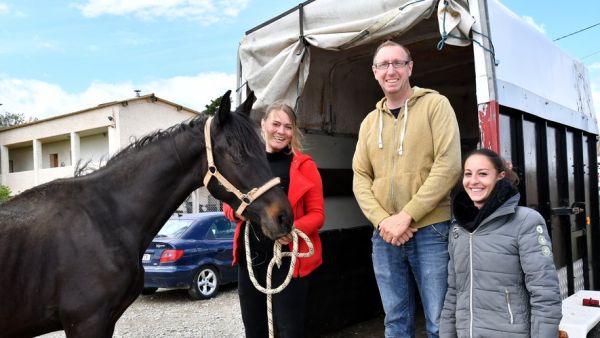 Narbonne : la nouvelle vie du cheval Tommy, utilisé comme mule par un trafiquant de drogue