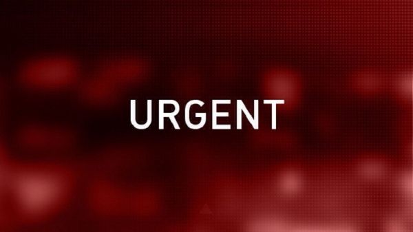 Affaire Vincent Lambert : la cour d'appel de Paris ordonne la reprise des traitements