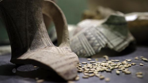 Des chercheurs israéliens recréent la "bière des pharaons" avec une levure vieille de 3 000 ans