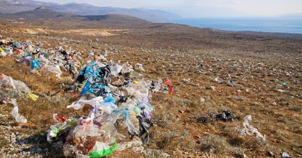 Selon un rapport WWF, nous avalons en plastique l'équivalent du poids d'une carte de crédit par semaine