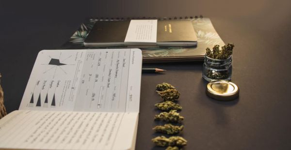 CANNABIS : les plus vieilles traces d'usage découverte en Asie centrale
