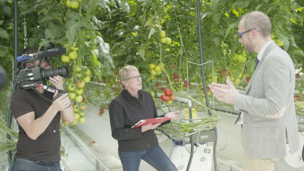 « Cash investigation » et le rapt des semences