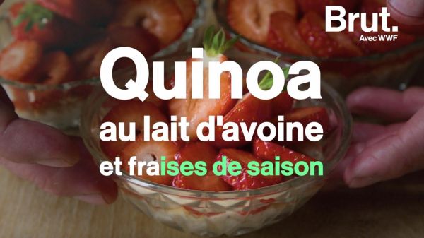 VIDEO. Le riz au lait durable du chef étoilé Florent Ladeyn