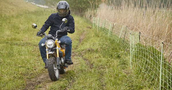 Honda Monkey : King Cool