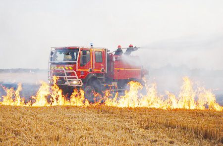 20 ou 16 millions  de quintaux, à qui profite le blé ?