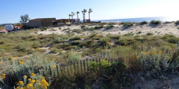 Les candidats ont jusqu'au 12 juillet pour postuler au lot 23 de la plage de la Pampelonne